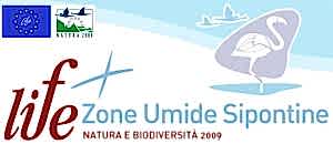 LIFE+09 - Zone Umide Sipontine