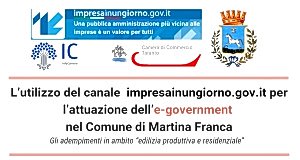 L&#039;utilizzo del canale impresainungiorno.gov.it