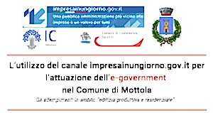 L&#039;utilizzo del canale impresainungiorno.gov.it